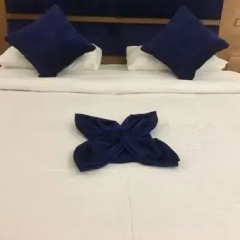 Отель Seashore Homes с домашними животными