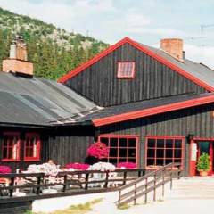 Отель Skjerdingen Høyfjellshotel фото 15