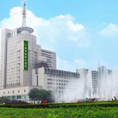 Xian Aurum International Hotel
