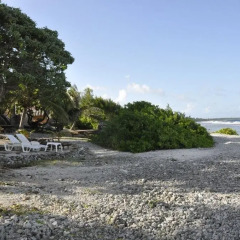 Отель Le Crusoe Французская Полинезия, Бора-Бора - отзывы, цены и фото номеров - забронировать отель Le Crusoe онлайн пляж фото 11