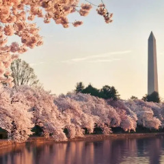 Отель Hyatt Regency Washington on Capitol Hill США, Вашингтон - 1 отзыв об отеле, цены и фото номеров - забронировать отель Hyatt Regency Washington on Capitol Hill онлайн приотельная территория