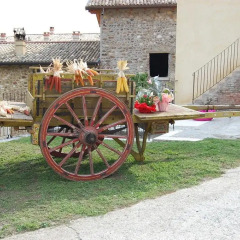 Отель Agriturismo Ca' Cristane Риволи-Веронезе с домашними животными