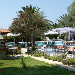 Olympic Bibis Hotel бассейн фото 3