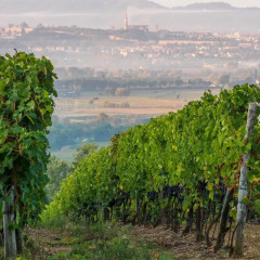 Отель Agriturismo Il Palazzo Ареццо фото 16