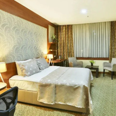 Kule Hotel & Spa Турция, Газиантеп - отзывы, цены и фото номеров - забронировать отель Kule Hotel & Spa онлайн комната для гостей фото 3