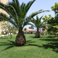 Апартаменты Silvia Apartments