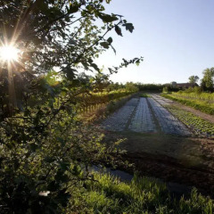 Отель Agriturismo Cascina Caremma Бесате приотельная территория