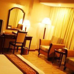 Xingyue Business Hotel Шэньчжэнь удобства в номере