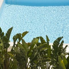Hotel Anfora Ibiza пляж фото 2