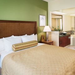 Отель Hilton Grand Vacations at The Flamingo США, Лас-Вегас - отзывы, цены и фото номеров - забронировать отель Hilton Grand Vacations at The Flamingo онлайн удобства в номере фото 2