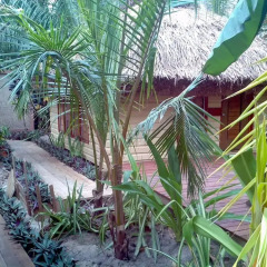 Отель Robinson Crusoe Island Фиджи, Вити-Леву - отзывы, цены и фото номеров - забронировать отель Robinson Crusoe Island онлайн фото 2