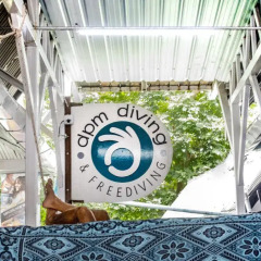 Отель Dpm Diving Hostel & Bar Koh Tao Таиланд, Мэй-Хаад-Бэй - отзывы, цены и фото номеров - забронировать отель Dpm Diving Hostel & Bar Koh Tao онлайн ванная