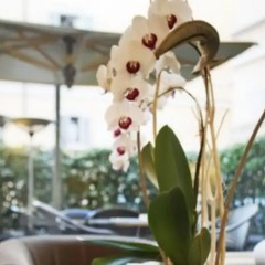 Отель Albergo Santa Chiara Италия, Рим - отзывы, цены и фото номеров - забронировать отель Albergo Santa Chiara онлайн помещение для мероприятий