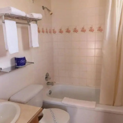 Отель City Centre Motor Hotel Канада, Ванкувер - отзывы, цены и фото номеров - забронировать отель City Centre Motor Hotel онлайн ванная