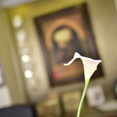 Hotel Topkapi фитнесс-зал фото 2