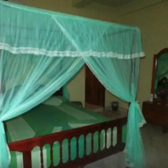 Отель Elephant Camp Guesthouse детские мероприятия фото 2