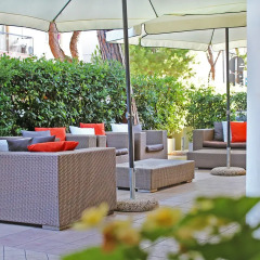 Hotel New Primula гостиничный бар