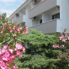 Etap Altinel Canakkale Турция, Гузеляли - отзывы, цены и фото номеров - забронировать отель Etap Altinel Canakkale онлайн фото 7