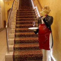Hotel Nosovikha фитнесс-зал