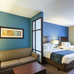 Comfort Suites Airport North Hotel In San Antonio United States