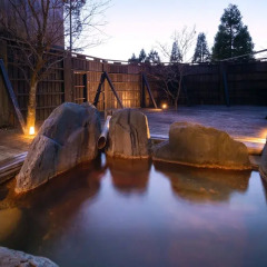 Отель Ryokan Hanagokoro Минамиогуни бассейн