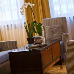 Отель Imperial Riding School Renaissance Vienna Hotel Австрия, Вена - 2 отзыва об отеле, цены и фото номеров - забронировать отель Imperial Riding School Renaissance Vienna Hotel онлайн удобства в номере