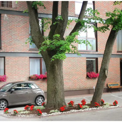 Vivulskio Hotel парковка