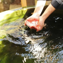 Отель Ryokan Ohashi Мисаса