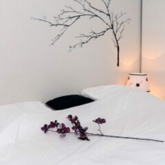 Апартаменты Le Peonie studio спа