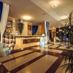 Гостиница Park hotel Shishka в Новосибирске отзывы, цены и фото номеров - забронировать гостиницу Park hotel Shishka онлайн Новосибирск интерьер отеля фото 3