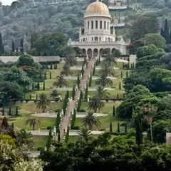 Eden Hahoresh Gueshoue Израиль, Хайфа - отзывы, цены и фото номеров - забронировать отель Eden Hahoresh Gueshoue онлайн городской автобус