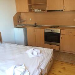 Апартаменты Four Leaf Clover Apartments Банско в номере фото 2