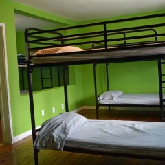 Отель Sin City Hostel Las Vegas США, Лас-Вегас - отзывы, цены и фото номеров - забронировать отель Sin City Hostel Las Vegas онлайн комната для гостей фото 5