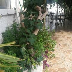 Caravan Hotel фото 7