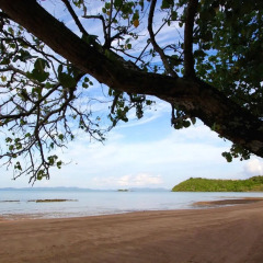 Отель Villa Padma пляж