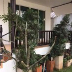 Отель Thai House Beach Resort