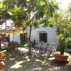 Отель Milk Fruit Homestay Хойан фото 2