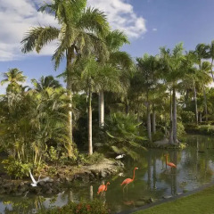 Отель Meliá Punta Cana Beach Resort - Adults Only All Inclusive фото 3
