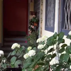 Отель Corallo Donizetti
