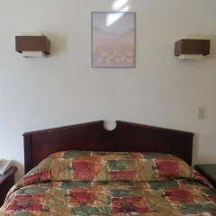 Отель City Centre Motor Hotel Канада, Ванкувер - отзывы, цены и фото номеров - забронировать отель City Centre Motor Hotel онлайн комната для гостей фото 3