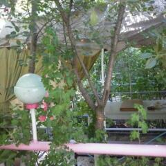 Отель Guest House Dompolski