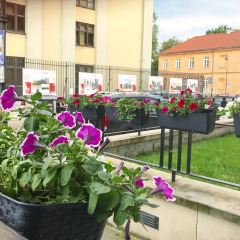 GreenWood Hostel Centrum балкон