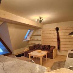 Апартаменты Visitzakopane Eco Apartments Косцелиско развлечения
