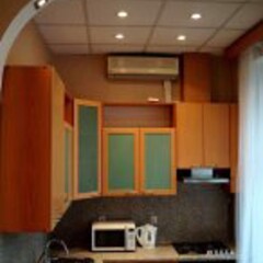 Апартаменты Lakshmi Apartment Great Classic в номере фото 2