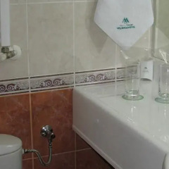Отель Grand Hotel Murgavets Болгария, Пампорово - отзывы, цены и фото номеров - забронировать отель Grand Hotel Murgavets онлайн ванная фото 2