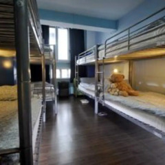 Beary Nice Hostel By A Beary Good Hostel Сингапур комната для гостей фото 2