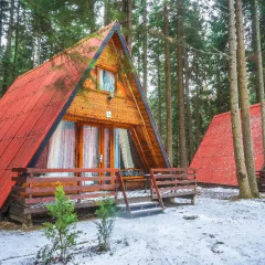 Отель Villa Malina Боровец с домашними животными