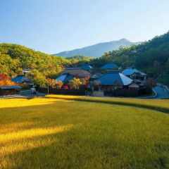 Отель Ryokan Miyama Sansou Минамиогуни спортивное сооружение