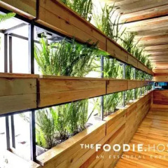 The Foodie Hostel Мехико балкон