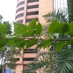 Отель Classic Service Suite at Times Square Малайзия, Куала-Лумпур - отзывы, цены и фото номеров - забронировать отель Classic Service Suite at Times Square онлайн приотельная территория